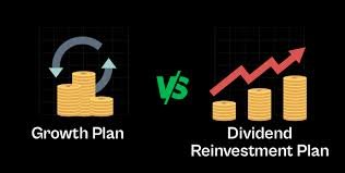 Equity Investment & Wealth Growth Planning